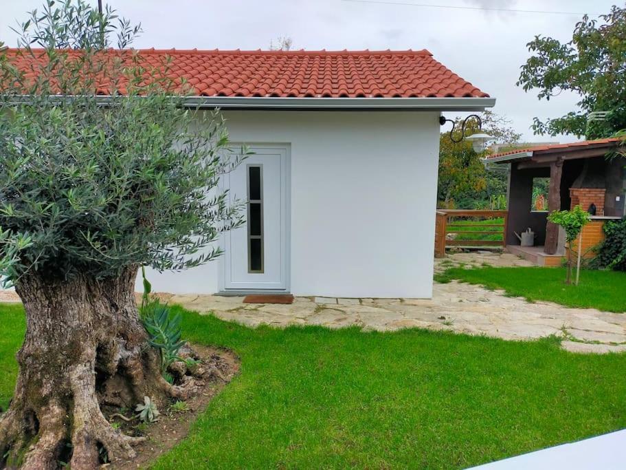 Casinha Do Rio Villa Soure Exterior photo
