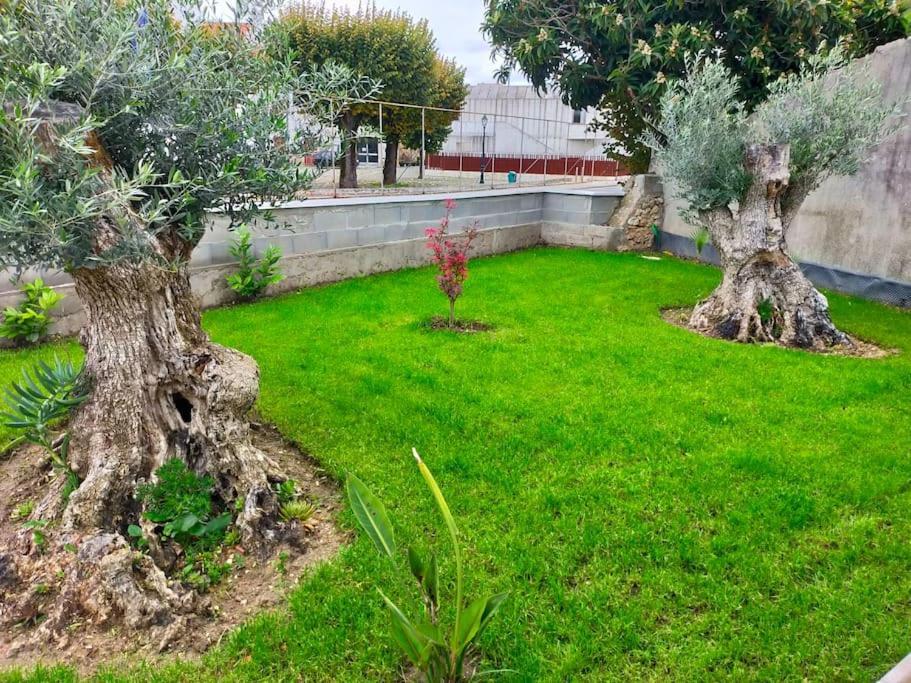Casinha Do Rio Villa Soure Exterior photo